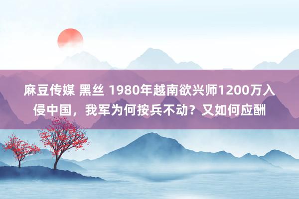 麻豆传媒 黑丝 1980年越南欲兴师1200万入侵中国，我军为何按兵不动？又如何应酬