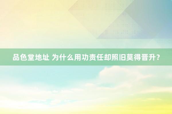 品色堂地址 为什么用功责任却照旧莫得晋升？